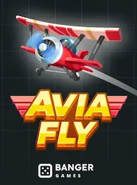 Avia Fly crash at 87BD COM